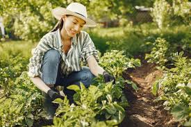 Gardening